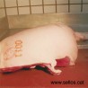 Tinta COLORIS 4724 EU para mataderos, marca incluso sobre carne grasa