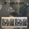 256 escalas de grises diferentes hacen que el grabado sea más que solo negro
