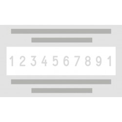 Numerador Trodat 55510/PL Professional 4.0, de 56 x 33 mm.
