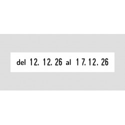 Doble datador manual Trodat 2226 amb placa de 67x30 mm.