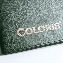 Coloris 4000P. Efecte metàl·lic, recomanada per al camp artístic
